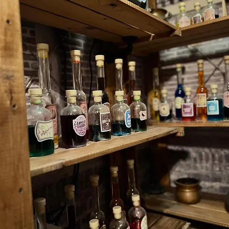 La Maison Des Maraudeurs, Pour Vrais Sorciers Apartment Longjumeau